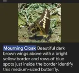 Screenshot_20250822-142722.Google~2.webp