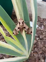 20190630_163118.webp