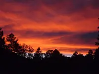 DSCF5479.webp