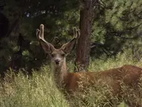 DSCF5492.webp