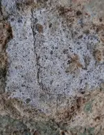 22.webp