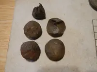 DSCN4223.webp