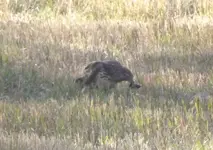 DSCF5406.webp