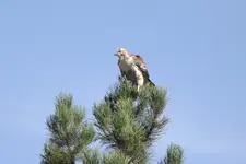 DSCF5453.webp