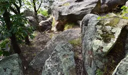 1756742405075.webp