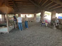 IMG_20231104_143633923_HDR.webp
