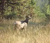 DSCF4222.webp