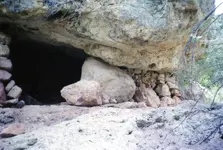 07.webp