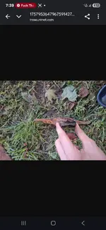 Screenshot_20250915_193916_Chrome.webp