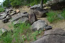 1758213639974.webp