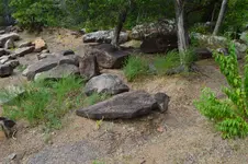 1758213725380.webp