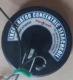 detec.01.webp