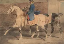 Horse.webp