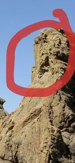 1758921435725.webp