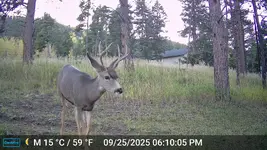 DSCF0014.webp