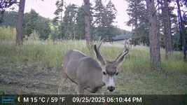 DSCF0016.webp