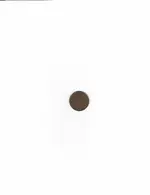 scan_001.webp