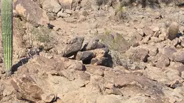 20250928_161541 (1).webp