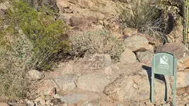 20250928_161418.webp