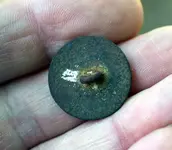silver gilded button back.webp