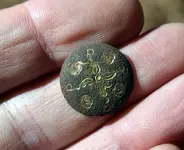gilded button front.webp
