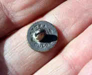 fancy button 1 back.webp