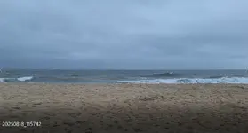 Erin Approaching Beach 8-18-25.webp