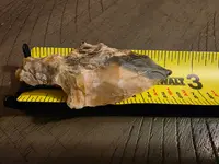 20250929_083149.webp
