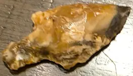 FB_IMG_1759000328943.webp