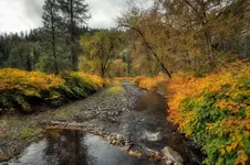Clearcreek.webp
