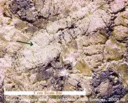 LA001au53sc.webp