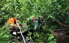 Trail In 0.webp
