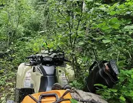 Trail In 1.webp