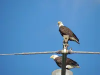 DSCN5545.webp