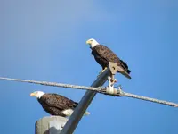 DSCN5549.webp