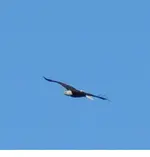 DSCN5554.webp