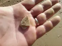 Nov 10 small bone in hand2.webp