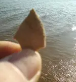 Nov 10 small bone.webp