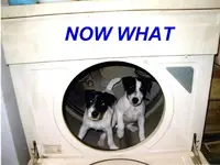 ieeeen-dryer-2-2-copy.webp