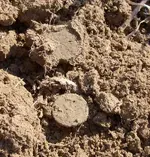 FE in Dirt1.webp