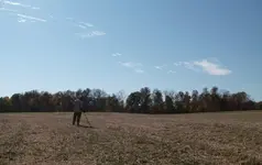 Rodeo Digg.webp