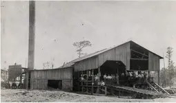 Brackenridge12.webp