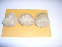 Grinding Stones-Bases-Flat Sandstone-Hollowed Out Rocks=Question 001.webp