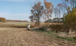 Rodeo Diggin.webp