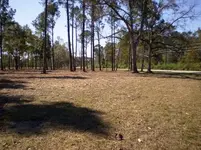 Brackenridge2.webp