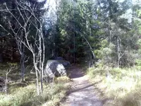 3.webp