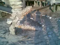 Image022.webp