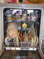 Dishwasher.webp