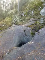 17.webp