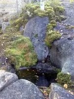 19.webp